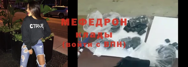 молекула духа Вяземский